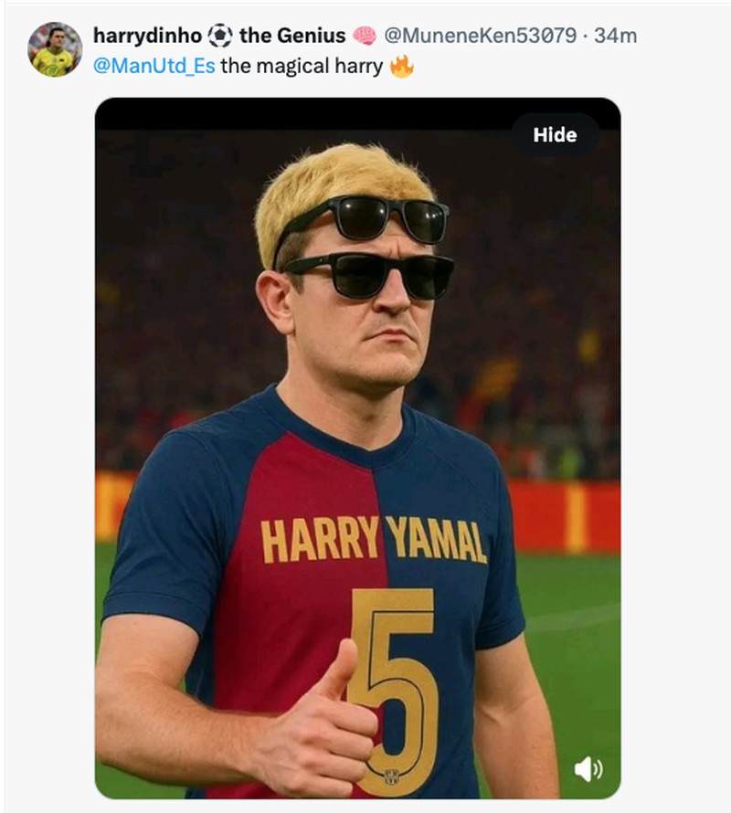 Meme Harry Maquire Jadi Harrydinho