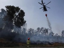 Beberapa Negara Kirim Pesawat Bantu Israel Padamkan Kebakaran Hutan