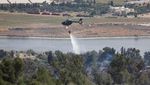 Petugas Damkar Berjibaku Padamkan Kebakaran Hutan di Wilayah Israel