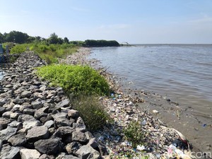 Sampah di Pantai Kesenden Cirebon yang Ganggu Kehidupan Nelayan