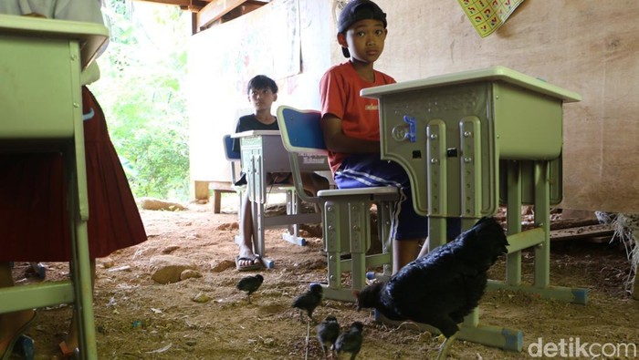Siswa kelas jauh SDN inpres 238 Bonto Parang belajar tanpa seragam sekolah dan menggunakan sendal. Mereka belajar ditemani ayam yang lalu lalang.