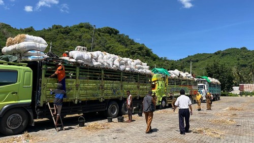 Suasana penyeberangan truk sapi melewati Provinsi Bali di Pelabuhan Lembar, Lombok Barat.
