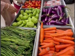 Pernikahan Viral dengan Souvenir Unik, Aneka Sayuran Bisa Dibawa Pulang Tamu