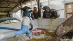 Harum Bunga Coffee Bawa Secercah Semangat Melintasi Batas Negeri