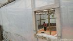 Harum Bunga Coffee Bawa Secercah Semangat Melintasi Batas Negeri