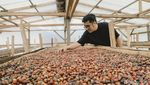 Harum Bunga Coffee Bawa Secercah Semangat Melintasi Batas Negeri