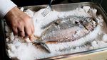 10 Hidangan Tersulit Dimasak di Dunia, Butuh Keahlian Tinggi!