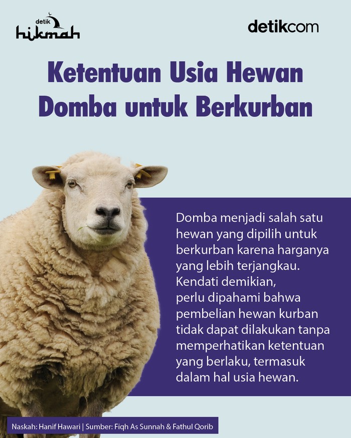 Infografis