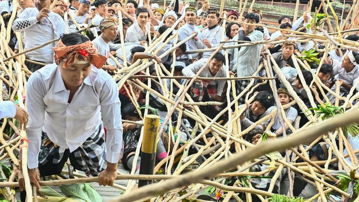 Warga saling menyatukan tongkat saat mengikuti tradisi Mekotek di kawasan Munggu, Badung, Bali, Sabtu (3/5/2025). Tradisi saat Hari Raya Kuningan itu diikuti ribuan warga setempat untuk menolak bala dan memohon keselamatan. ANTARA FOTO/Fikri Yusuf/foc.