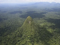 Gunung Berbentuk Piramida di Hutan Amazon yang Penuh Misteri