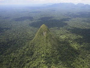 Menguak Asal-usul Cerro El Cono, Gunung Tersembunyi di Amazon