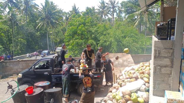 Kegiatan pengumpulan hasil dari ngambeng di Pura Samuan Tiga, Desa Bedulu, Kecamatan Blahbatuh, Gianyar, Minggu (4/5/2025).