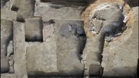 Di kedua sisi jalan, para arkeolog menemukan lebih dari 500 lingkaran penanaman dari tanah liat—yang kemungkinan digunakan untuk menanam pohon yang pernah berjejer di pintu masuk benteng yang megah selama periode Ptolemeus. Foto: Dokumentasi Kementerian Pariwisata dan Kepurbakalaan Mesir
