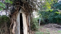 Sebuah rumah di 144 Broadway, Dunolly memiliki bangunan toilet yang menempel pada pohon. Pohon itu dideskripsikan mirip Whomping Willow, yakni pohon bergoyang dari film Harry Potter. Ternyata bangunan nempel pohon ini justru menarik pembeli buat beli rumah tua itu seharga 165 ribu dolar Australia atau Rp 1,7 miliar pada tahun 2021.