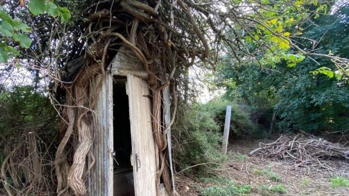 Rumah dengan Toilet Luar Nempel Pohon