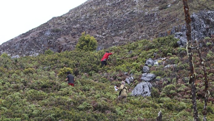 Tim SAR campuran mencari pendaki hilang di Gunung Binaiya Maluku Tengah. Tim SAR campuran mencari pendaki hilang di Gunung Binaiya Maluku Tengah. pendaki hilang