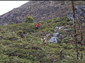 Pertimbangan Pencarian Pendaki Hilang di Gunung Binaiya Kembali Dilanjutkan