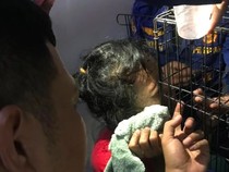 Ngeri Warga Tangsel Matanya Tertancap Besi Kandang Kucing, Damkar Evakuasi