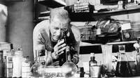 Penjara ini juga menjadi terkenal karena film tahun 1962, Birdman of Alcatraz, yang dibintangi Burt Lancaster, tentang pembunuh terpidana Robert Stroud, yang saat menjalani hukuman seumur hidup di pulau penjara tersebut mengembangkan minat pada burung dan kemudian menjadi ahli burung. (BBC)