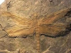 Foto Penemuan Artefak yang Menyimpan Cerita Mengejutkan