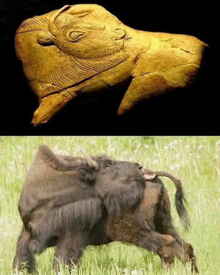 Foto Penemuan Artefak