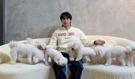 Gangnom: Serunya Makan Omurice Ditemani Anjing Bichon di Kafe Korea