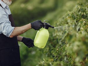 Awas! Riset Ungkap Bahan Ini Bisa Merusak Tanah dan Keanekaragaman Hayati