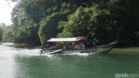Di musim kemarau, warna air Green Canyon terlihat semakin jernih dan memukau, membuat banyak wisatawan menyebutnya sebagai vitamin segar untuk tubuh dan pikiran. 