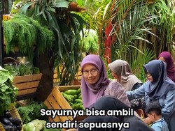 Viral Pernikahan Anak Juragan Sayur, Tamunya Bisa Ambil Sayuran Sepuasnya