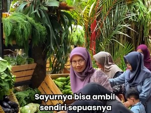 Viral Pernikahan Anak Juragan Sayur, Tamunya Bisa Ambil Sayuran Sepuasnya