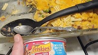 Satu lagi momen potluck menjengkelkan. Netizen itu membagikan foto berupa lasagna yang terbuat dari keripik kentang, kacang polong, dan daging cincang. Namun, ada juga sekaleng makanan kucing. Foto: boredpanda