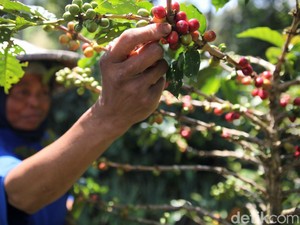 RI Mau Geber Ekspor UMKM ke Jerman, Produk Kopi jadi Andalan