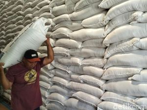 Stok Beras Melimpah, Bulog Sewa Gudang TNI-BUMN buat Simpan
