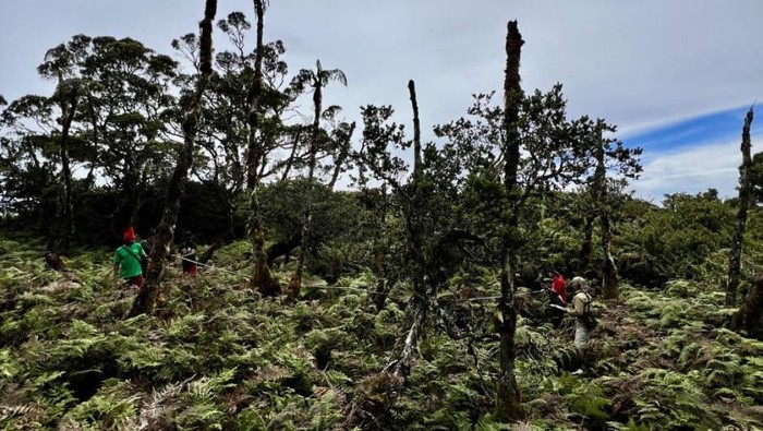 Tim SAR menghentikan operasi pencarian pendaki hilang di Gunung Binaiya, Maluku Tengah.
