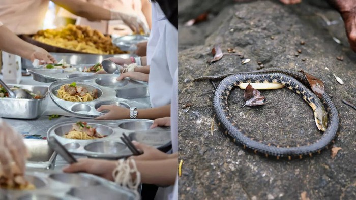 Ada Bangkai Ular di Bekal Anak Sekolah India yang Sebabkan Keracunan