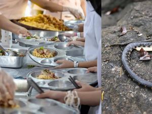 Ada Bangkai Ular di Bekal Anak Sekolah India yang Sebabkan Keracunan