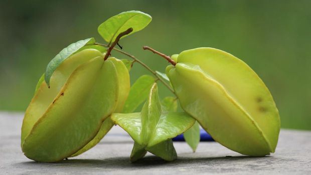 Buah Belimbing. (Dok Pixabay)