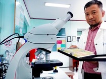 Potret Spesies Mikroalga Baru yang Ditemukan Peneliti UB