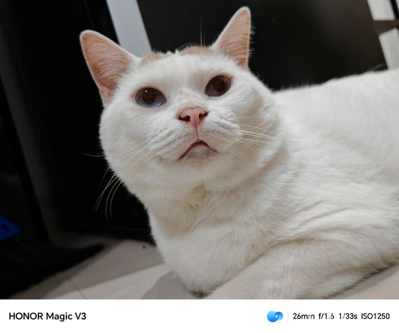 Hasil jepretan kamera Honor Magic V3