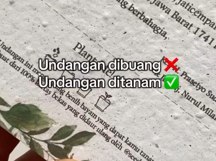 Kartu undangan ramah lingkungan bisa ditanam dan tumbuh menjadi aneka sayuran dan bunga.