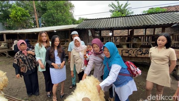 Para SPG mahasiswi saat melayani pembeli kambing kurban di Godegan RT.10, Tamantirto, Kasihan, Bantul.