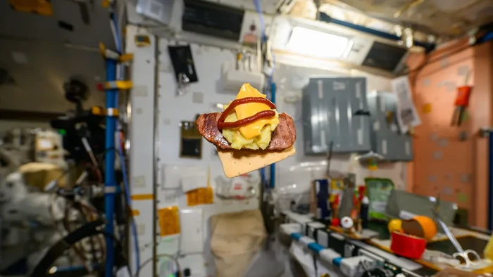Astronot Bagikan Penampilan Bekal Burger di Luar Angkasa