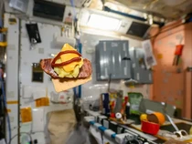 Astronot Bagikan Penampilan Bekal Burger di Luar Angkasa