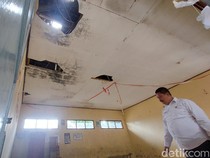 Plafon Berjamur Muncul Bercak Hitam, Ini Penyebab dan Cara Cegahnya