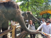 Menteri Lingkungan Hidup Minta Kebun Binatang Pastikan Satwa Sejahtera