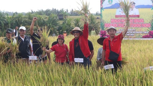 Bupati Tabanan I Komang Gede Sanjaya saat panen raya di Subak Aseman, Desa Tangguntiti, Kecamatan Selemadeg Timur, Kabupaten Tabanan, Rabu (7/5/2025).