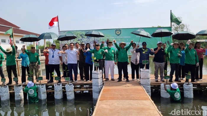 Penanaman mangrove di Teluk Jakarta