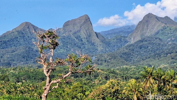 Pendakian 3 gunung di Bondowoso resmi dilarang