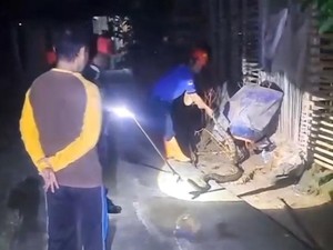 Ular Sanca 2 Meter Tepergok Hendak Mangsa Ayam di Patuk Gunungkidul