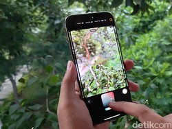 iPhone 16 Bawa Kembali Vibe Foto Klasik Era 60-an